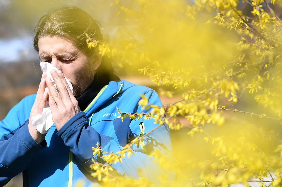 Spring Allergy Management in Calgary: An Integrated Approach Beyond Antihistamines